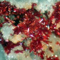 Carminite & Scorodite