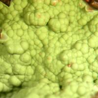 Chenevixite