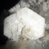 Dresserite & Weloganite