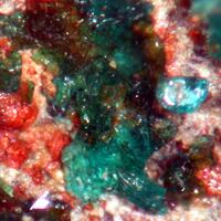 Ktenasite Brochantite & Antlerite