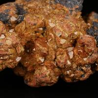 Sturmanite