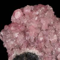 Cobaltoan Smithsonite