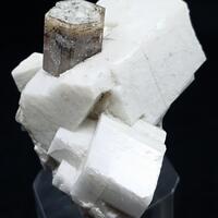 Apatite With Orthoclase