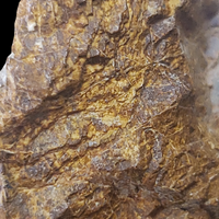 Allanite