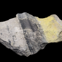 Uraninite With Schoepite In Sandstone
