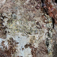 Pyrite In Uraninite