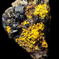 Uranopilite & Zippeite On Coal With Uraninite