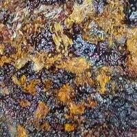 Zippeite On Uraninite With Coal & Bitumen