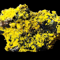 Uranopilite With Uraninite