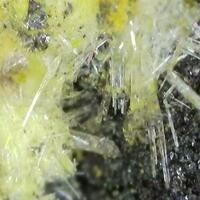Uintahite Asphaltum With Uraninite