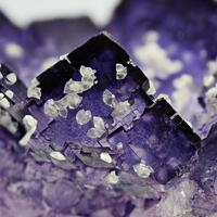 Fluorite With Calcite