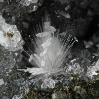 Thomsonite & Calcite