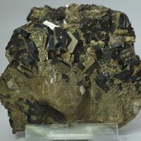 Muscovite