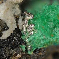 Native Silver & Malachite