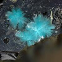 Serpierite