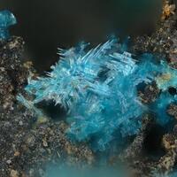 Posnjakite