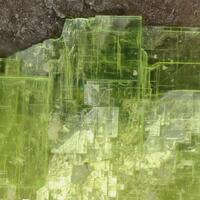 Uranocircite
