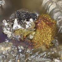 Neptune Minerals: 11 May - 18 May 2025