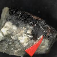 Neptune Minerals: 13 Jun - 20 Jun 2025