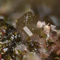 Chlorargyrite
