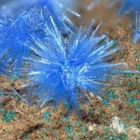 Cyanotrichite