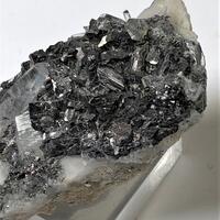 Enargite With Quartz