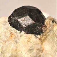 Almandine With Muscovite