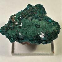 Dioptase With Malachite & Quartz