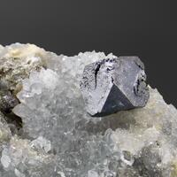 Galena On Quartz