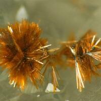 Goethite & Calcite