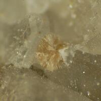 Sphaerobertrandite & Eudidymite