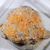 Uzonite & Alacránite