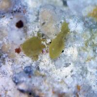 Hemimorphite & Pyromorphite