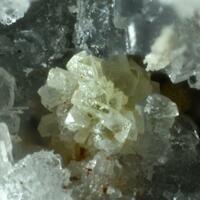 Ligurian Minerals: 01 May - 08 May 2024
