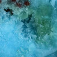 Saranchinaite On Anhydrite