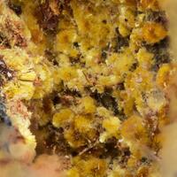 Cacoxenite
