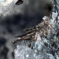 Violarite & Pentlandite