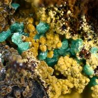 Torbernite On Cacoxenite