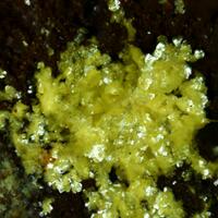 Sabugalite