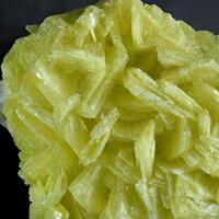 Ligurian Minerals: 11 Jun - 18 Jun 2025