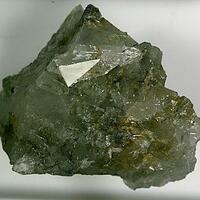 Arctite