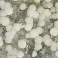Dypingite
