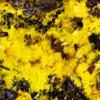 Soddyite