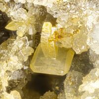 Wulfenite