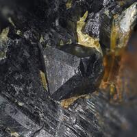 Uraninite On Columbite-(Fe)