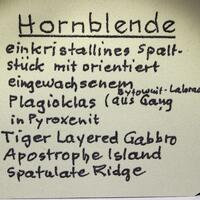 Hornblende