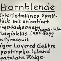 Magnesio-hastingsite
