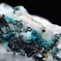 Turquoise