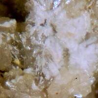 Dickthomssenite