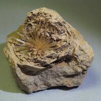 Aragonite